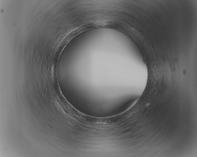 X0000051920596200507082057