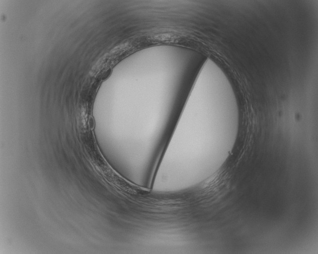 X0000051920597200507082057