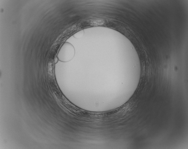 X0000051920598200507082057