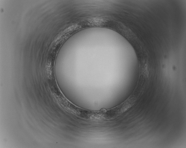 X0000051920599200507082057