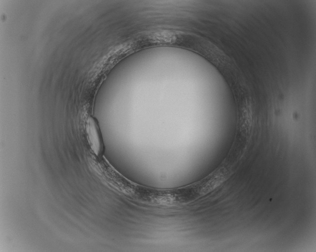 X0000051920600200507082057