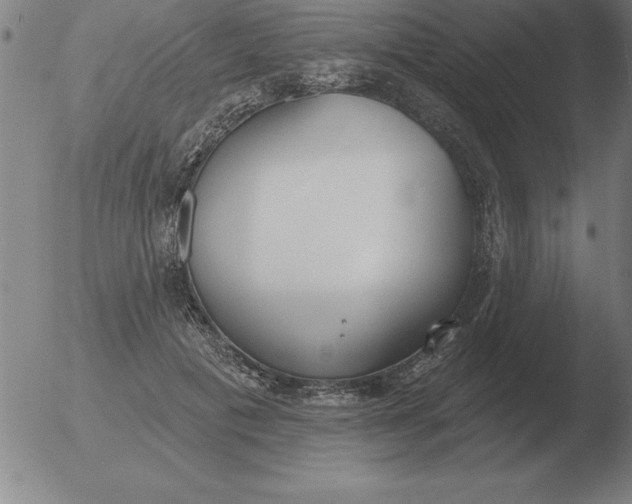 X0000051920601200507082057