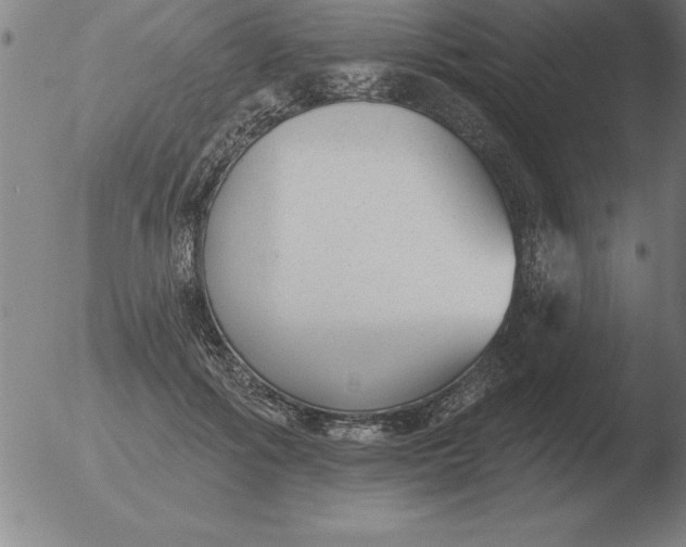 X0000051920602200507082057