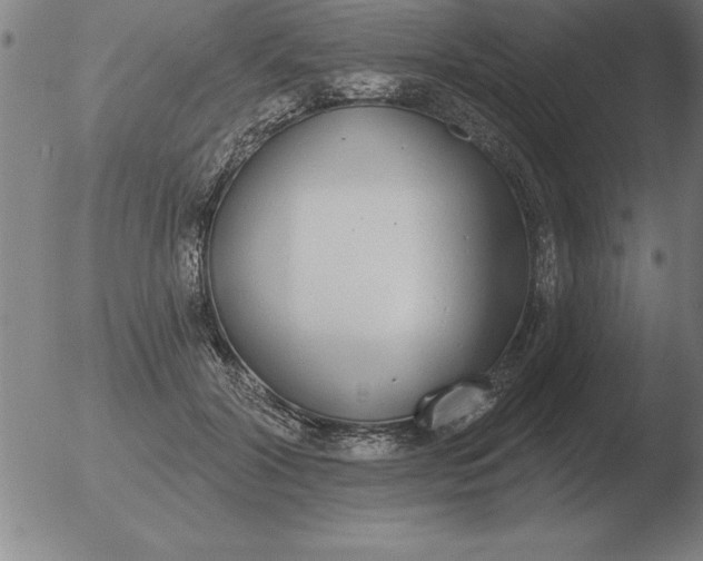 X0000051920604200507082057