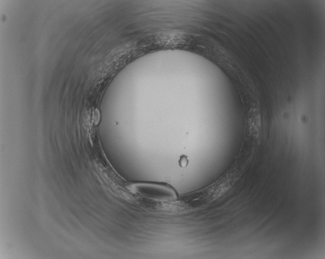 X0000051920605200507082057