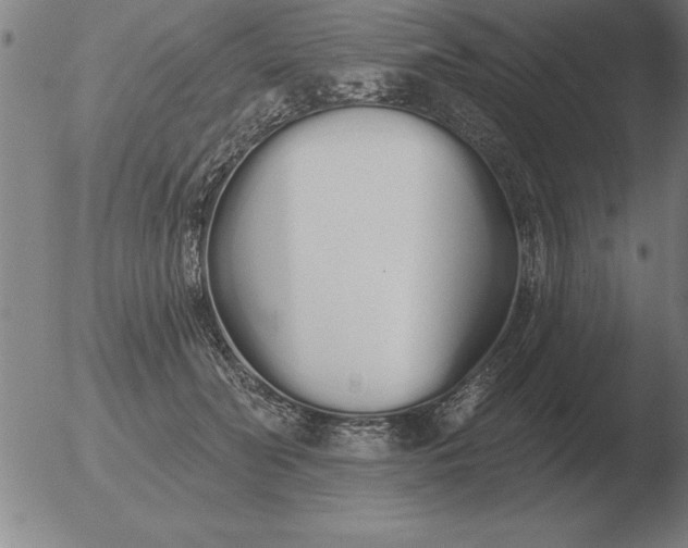 X0000051920606200507082057