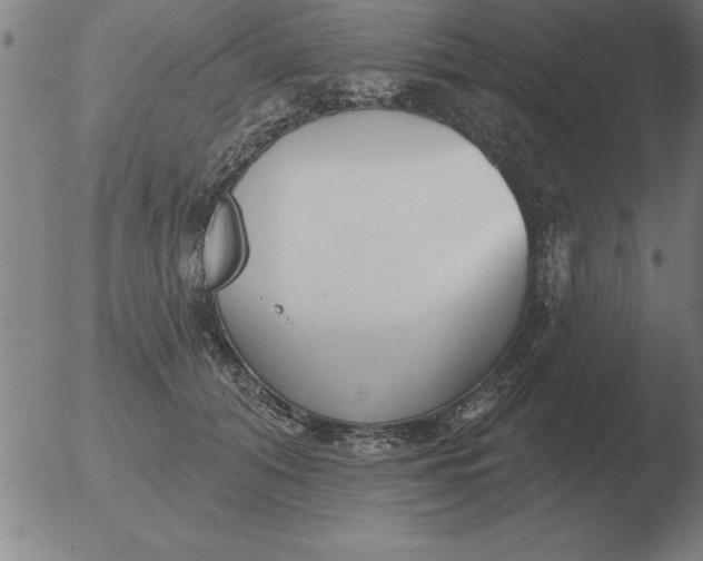 X0000051920608200507082057