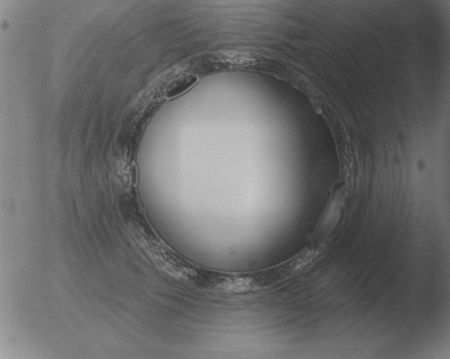 X0000051920609200507082057