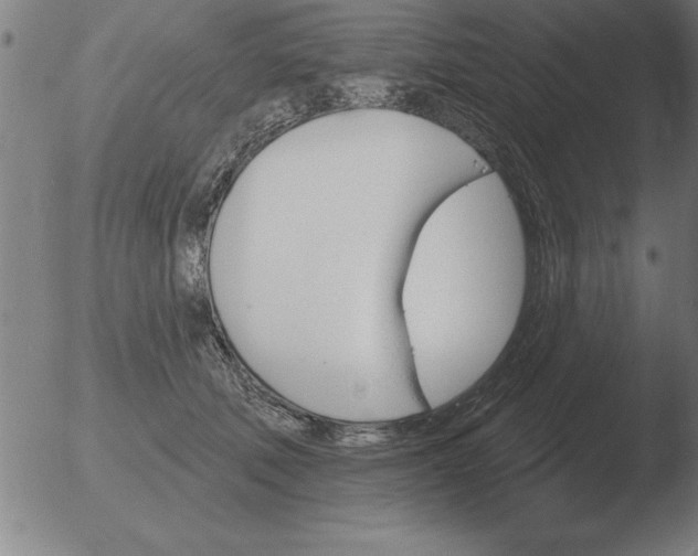 X0000051920610200507082057