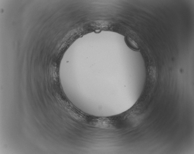 X0000051920612200507082057