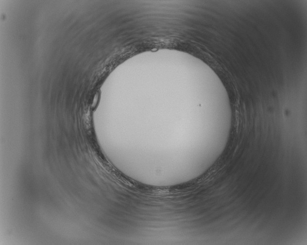 X0000051920613200507082057