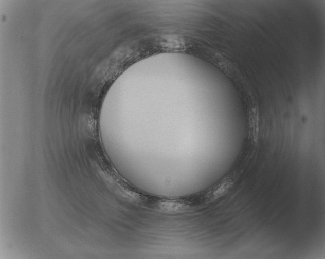 X0000051920614200507082057