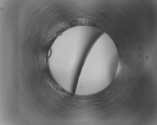 X0000051920615200507082056