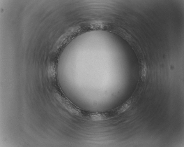 X0000051920616200507082056