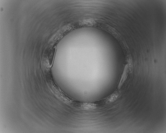 X0000051920617200507082056