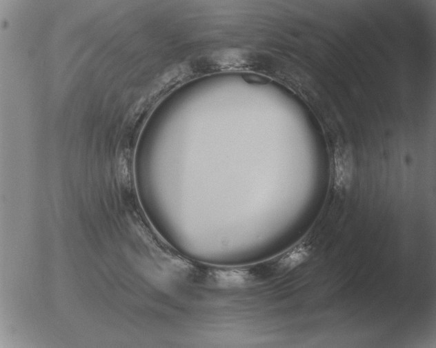 X0000051920618200507082056