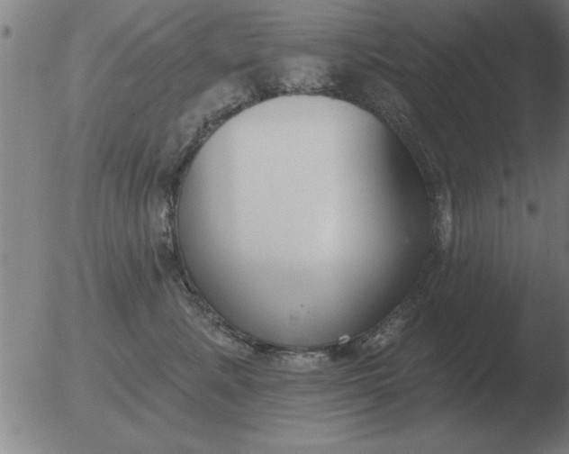 X0000051920619200507082056