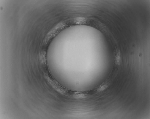 X0000051920620200507082056