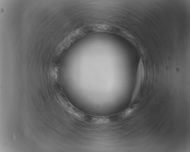 X0000051920621200507082056