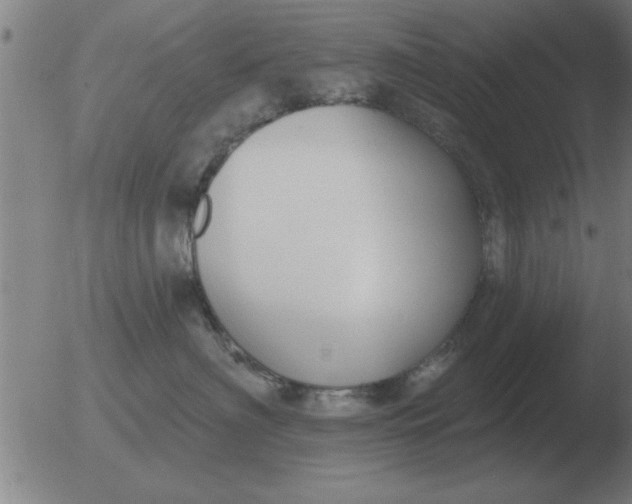 X0000051920622200507082056