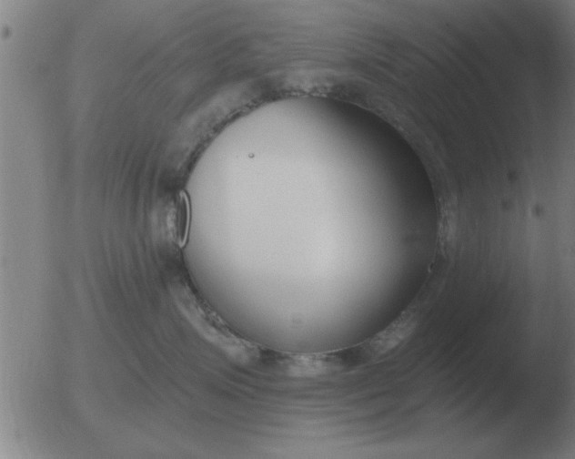 X0000051920623200507082056