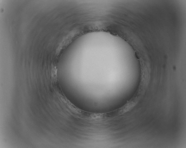 X0000051920624200507082056