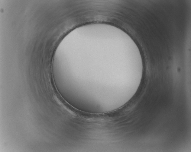 X0000051920625200507082056