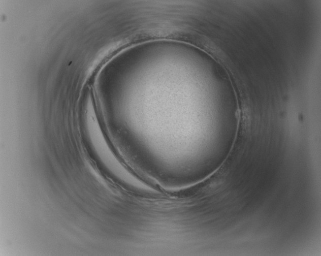 X0000051920626200507082056