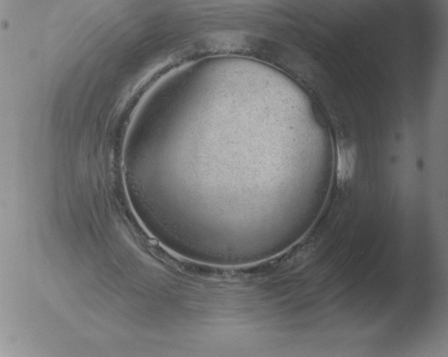 X0000051920627200507082056