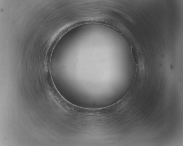 X0000051920628200507082056