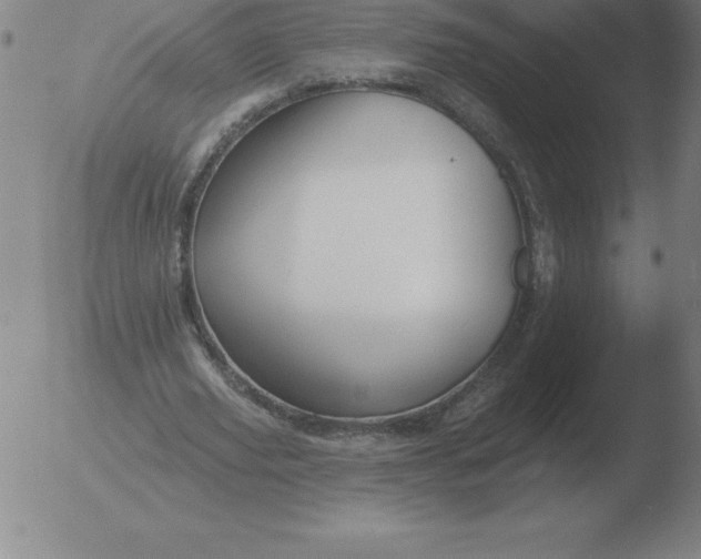 X0000051920629200507082056