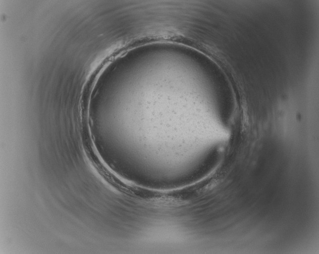 X0000051920630200507082056