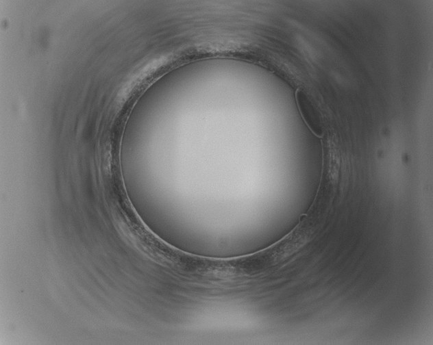 X0000051920631200507082056