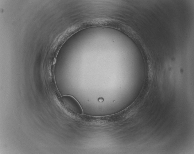 X0000051920633200507082056