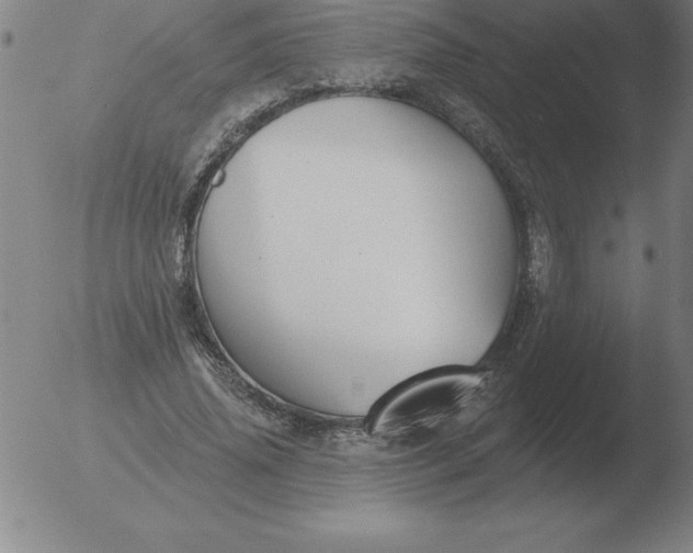 X0000051920636200507082056