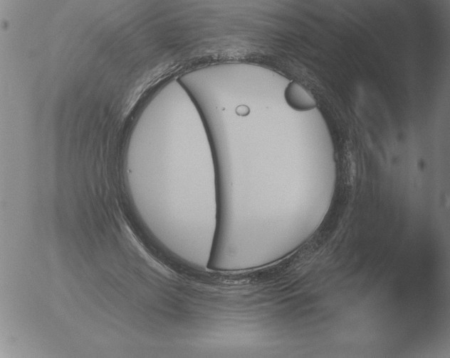 X0000051920638200507082056