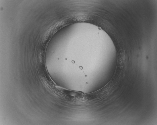 X0000051920639200507082056