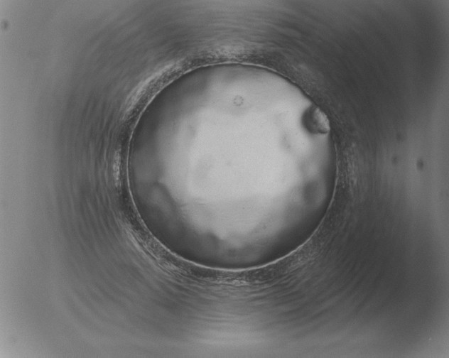 X0000051920640200507082056