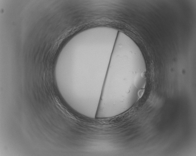 X0000051920641200507082056