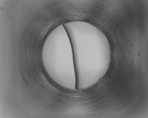 X0000051920642200507082056