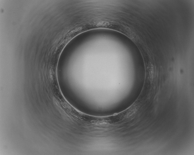 X0000051920643200507082056