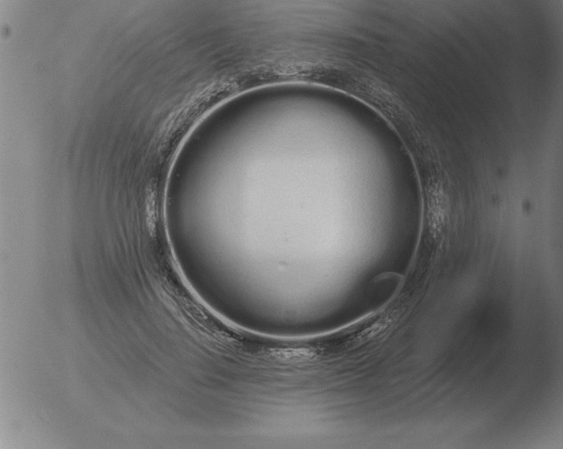 X0000051920644200507082056