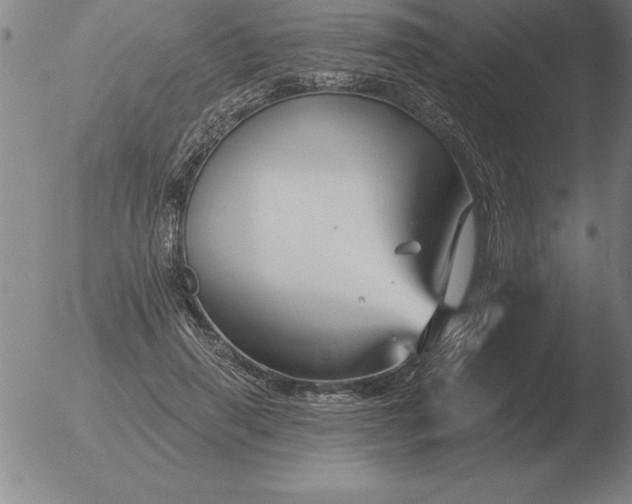 X0000051920645200507082056