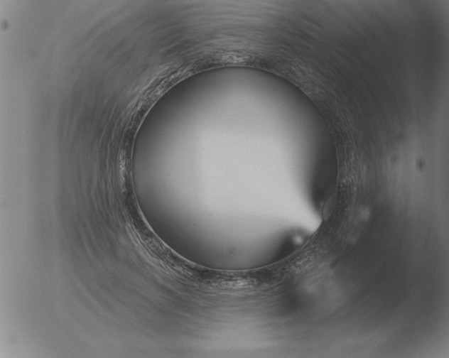 X0000051920646200507082056