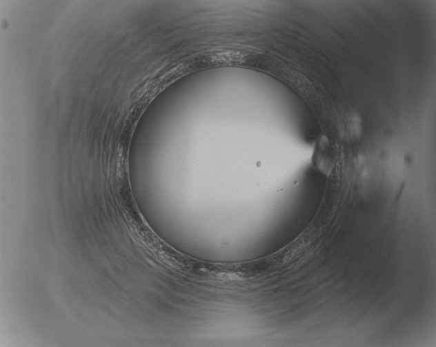 X0000051920649200507082056