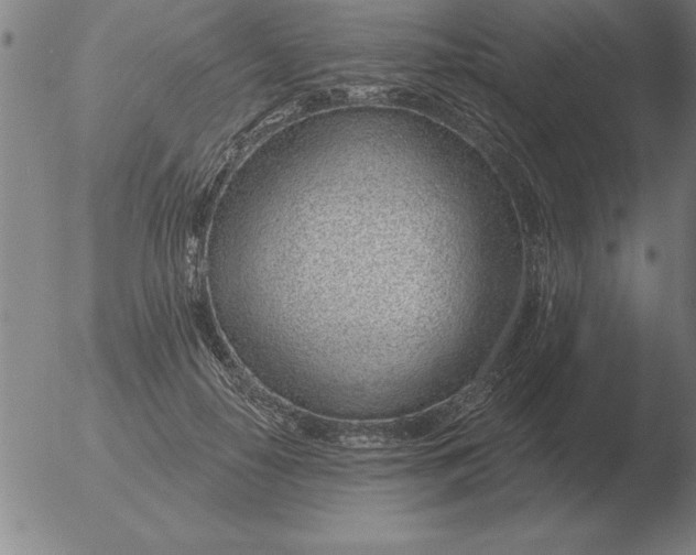 X0000051920650200507082056