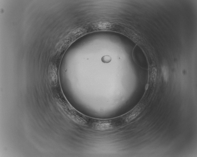 X0000051920651200507082056