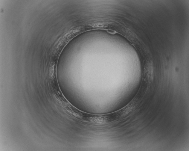 X0000051920652200507082056