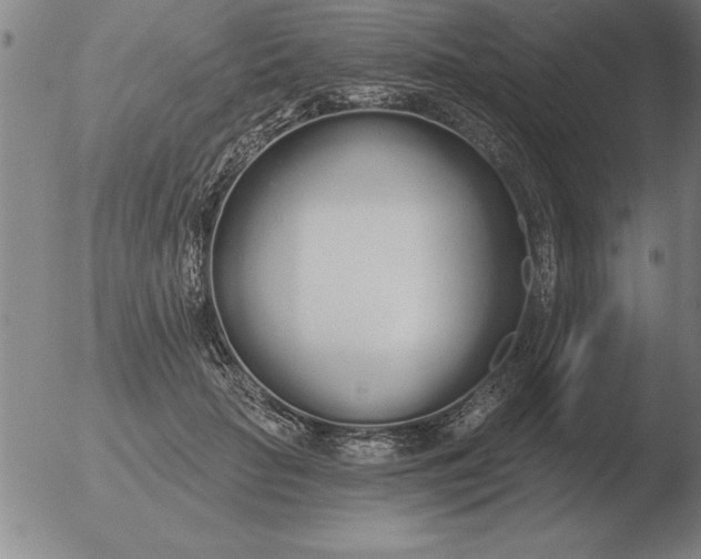 X0000051920653200507082056