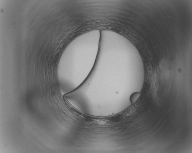 X0000051920654200507082056